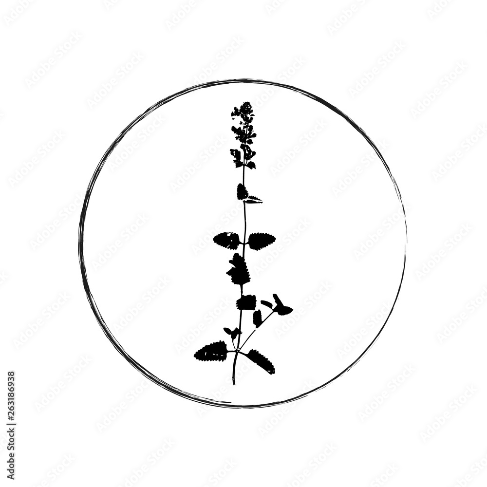 Vector floral logo. Botanical illustration with isolated destroyed silhouette on white background. Vector floral logo. Botanical illustration with isolated destroyed silhouette on white background.