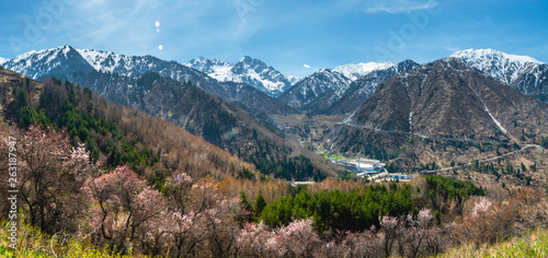 Spring in the valley of Medeo. Spring mountain landscape