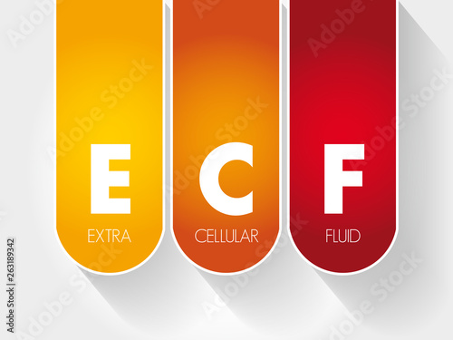 ECF - Extracellular fluid acronym, concept background