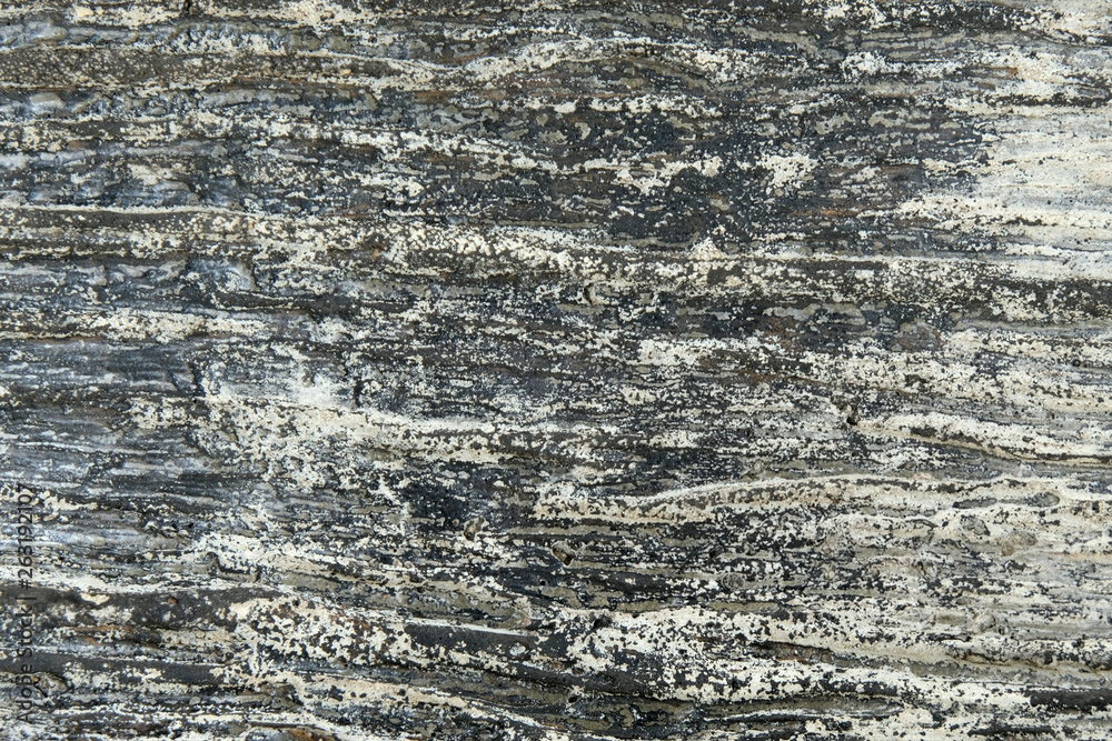 brown wood background , soft focus