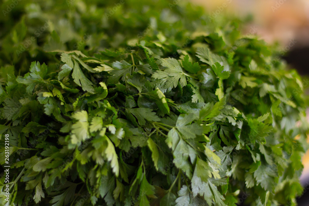 Close up view of fresh green parsley leaves Close up view of fresh green parsley leaves