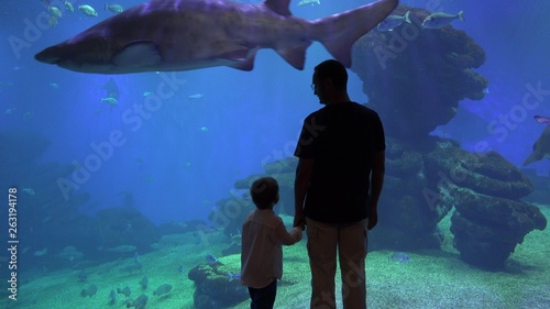 Photos Father and enthusiastic child holding hand and enjoy undersea life at aquarium