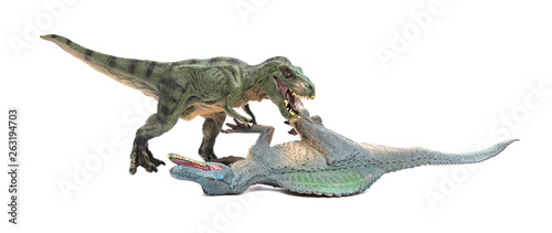 tyrannosaurus fights with spinosaurus on a white background