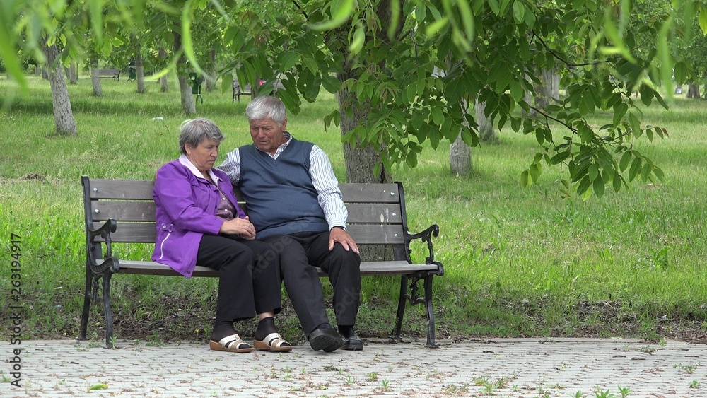 Couple of senior in nature, men embrace woman, senior talk, support each other