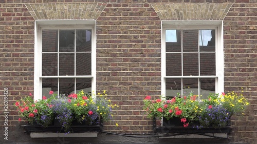 Stylish house windows with colorful flowers and bricks wall, two window one sweet home