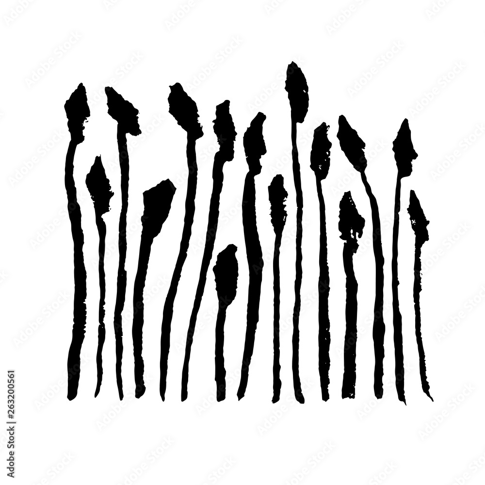 Plakat Grunge ink drawing grass border. Leaves hand drawn brush illustration.
