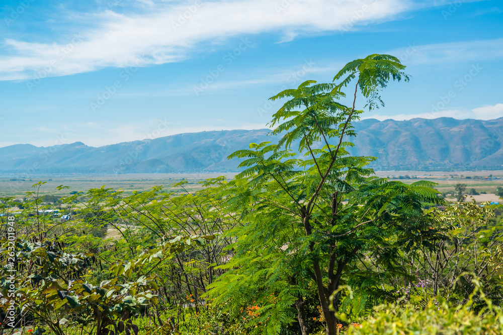 Obraz premium Red Mountain Winery in Inle Lake, Myanmar.