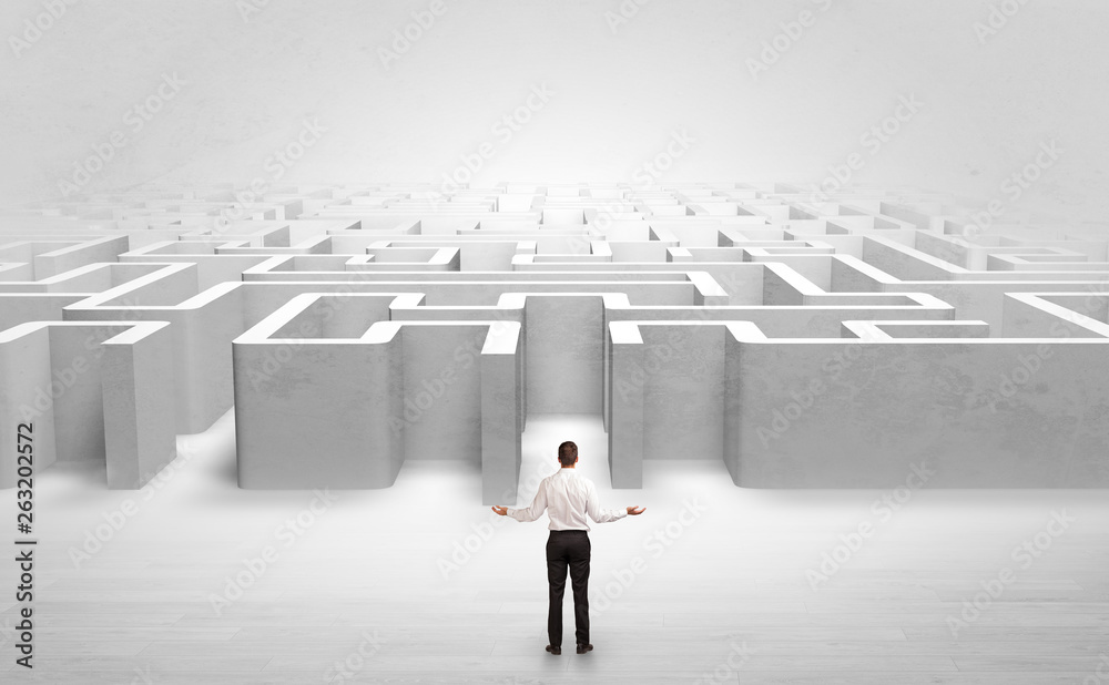 Businessman trying to decide which entrance to choose at the maze
Businessman trying to decide which entrance to choose at the maze