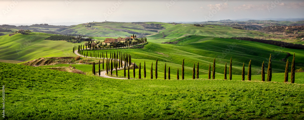 Tuscan hill with row of cypress trees and farmhouse at sunset. Tuscan landscape. Italy - obrazy, fototapety, plakaty 