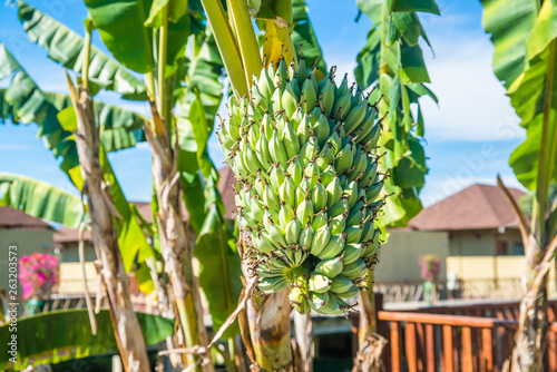 Novotel hotel in Inle Lake, Myanmar. photo