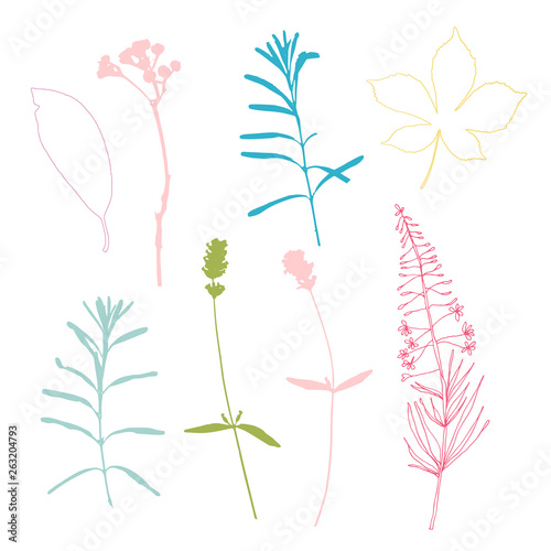 Botanical illustration with herbs  plants  flowers and leaves. Isolated vector silhouettes on white background. Graphic design for background  card  web banner  poster  invitation.