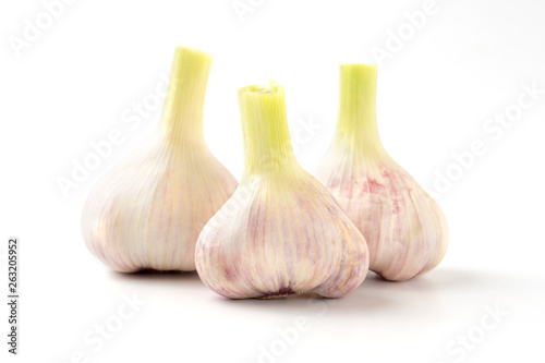 Young garlic on a white background