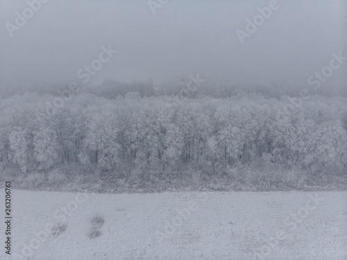 Field and white frozen trees in fog in winter, aerial view from the high © pressahotkey