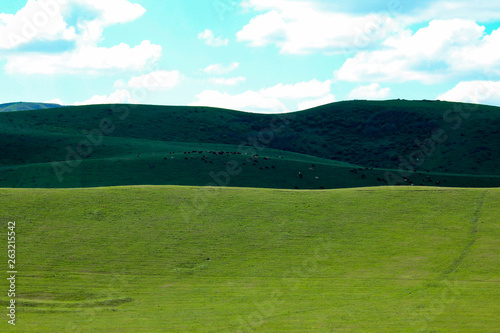 Green meadows and pasture.