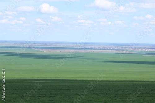 Green meadows and pasture.