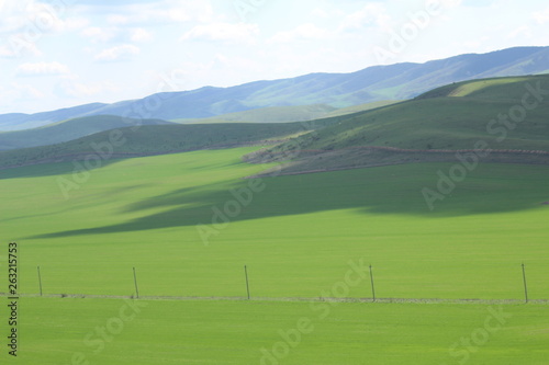 Green meadows and pasture.
