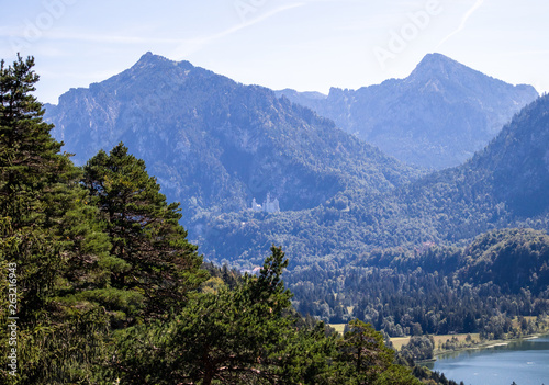 wald berge natur pur