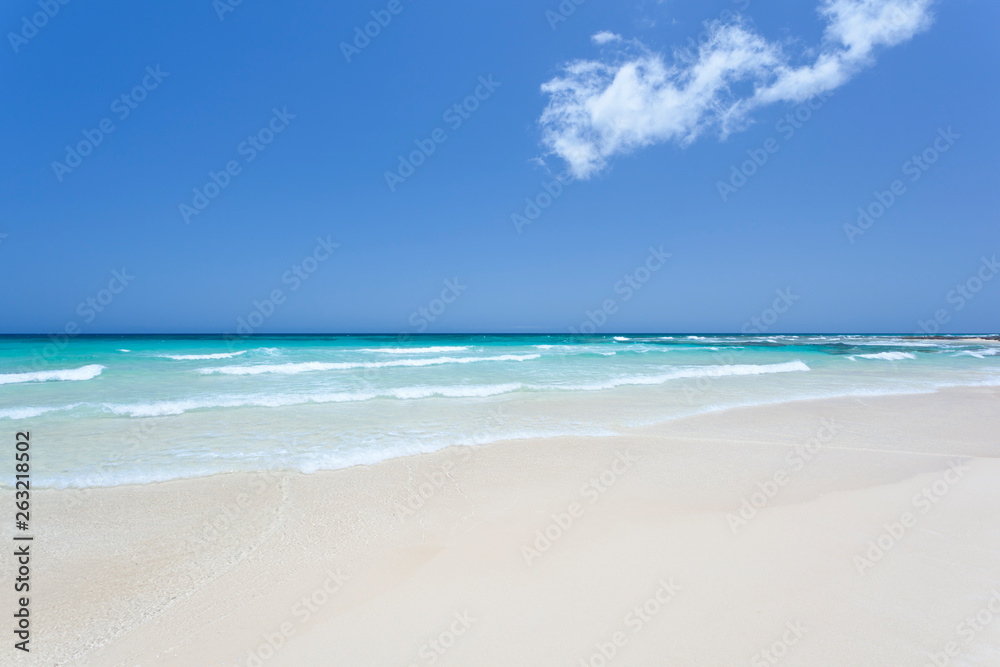 Fototapeta premium Perfect White Beach, Fuerteventura