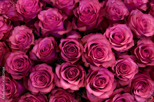 Big bunch of fresh dark pink roses in bouquete close up texture background  photo