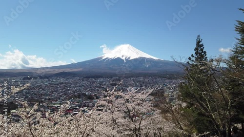 Mt. Fuji over Cherry Blossoms and a Provincial City photo