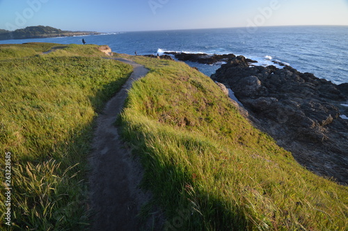 Coastal Impressions from Mendocino from April 28  2017  California USA