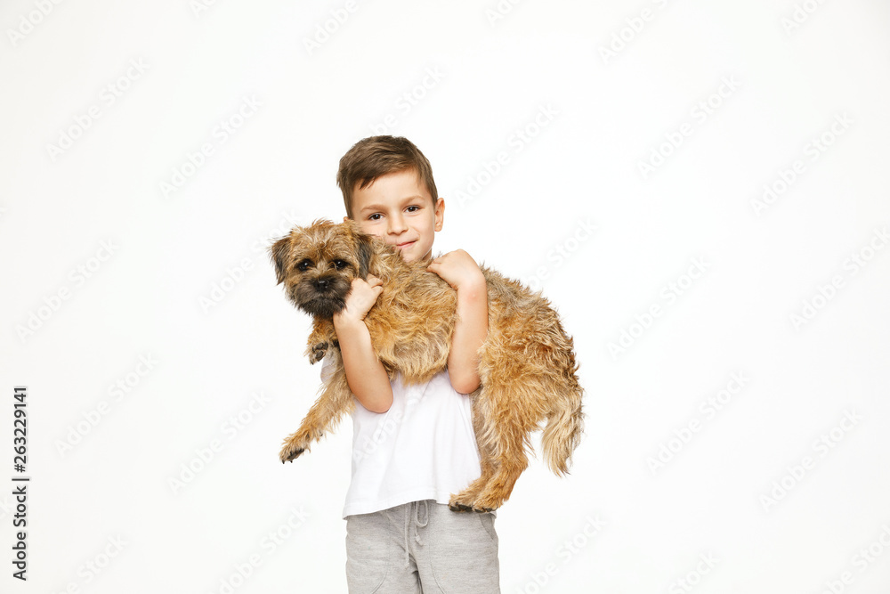 little boy is hugging the dog studio shot little boy is hugging the dog studio shot