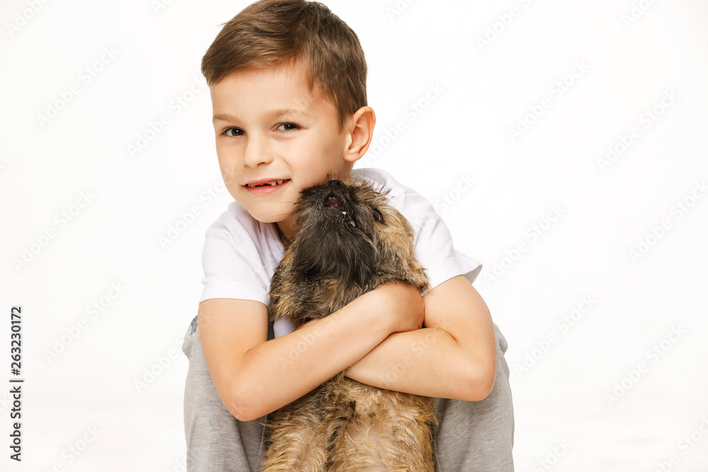 little boy is hugging the dog studio shot little boy is hugging the dog studio shot
