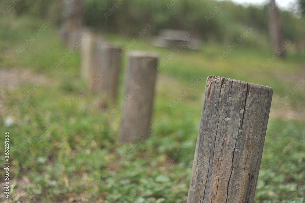fence, nature, wood, grass, green, tree, wooden, old, park, forest, garden, trees, outdoors, rural, landscape, bench, outdoor, summer, autumn, gate, spring, natural, field, path fence, nature, wood, grass, green, tree, wooden, old, park, forest, garden, trees, outdoors, rural, landscape, bench, outdoor, summer, autumn, gate, spring, natural, field, path