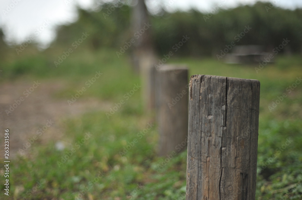fence, nature, wood, grass, green, tree, wooden, old, park, forest, garden, trees, outdoors, rural, landscape, bench, outdoor, summer, autumn, gate, spring, natural, field, path fence, nature, wood, grass, green, tree, wooden, old, park, forest, garden, trees, outdoors, rural, landscape, bench, outdoor, summer, autumn, gate, spring, natural, field, path