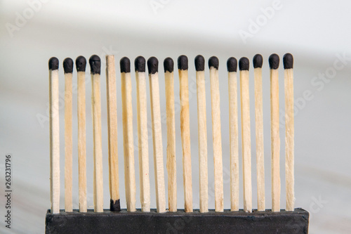 rebel: a row of wooden matches ready to burn together, one match turned the other side