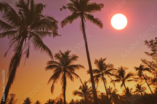 tropical sunset on the beach