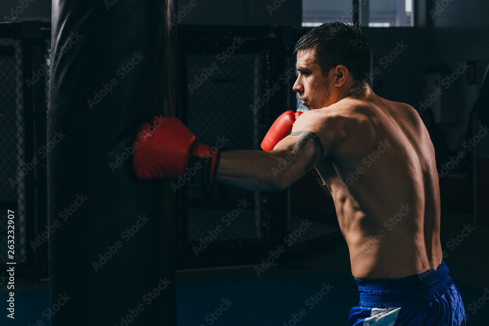 Handsome determinated bare chested male boxer in red gloves getting prepared for big fight, doing cardio boxing workout with punching bag in empty dark gym. Sport, challenge victory, workout. Handsome determinated bare chested male boxer in red gloves getting prepared for big fight, doing cardio boxing workout with punching bag in empty dark gym. Sport, challenge victory, workout.