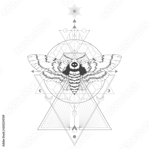 Vector illustration with hand drawn dead head moth and Sacred geometric symbol on white background. Abstract mystic sign.