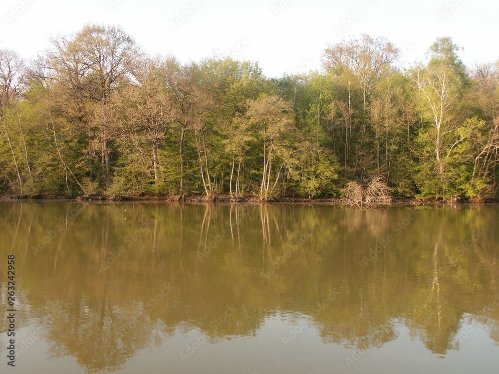 ETANG FORET ETANG FORET