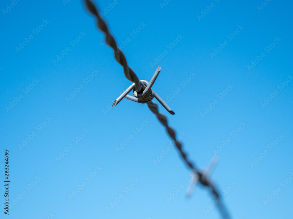 Barbed Wire Isolated on Blue Sky - A Concept for Security, Border Control, Migration Crisis Barbed Wire Isolated on Blue Sky - A Concept for Security, Border Control, Migration Crisis