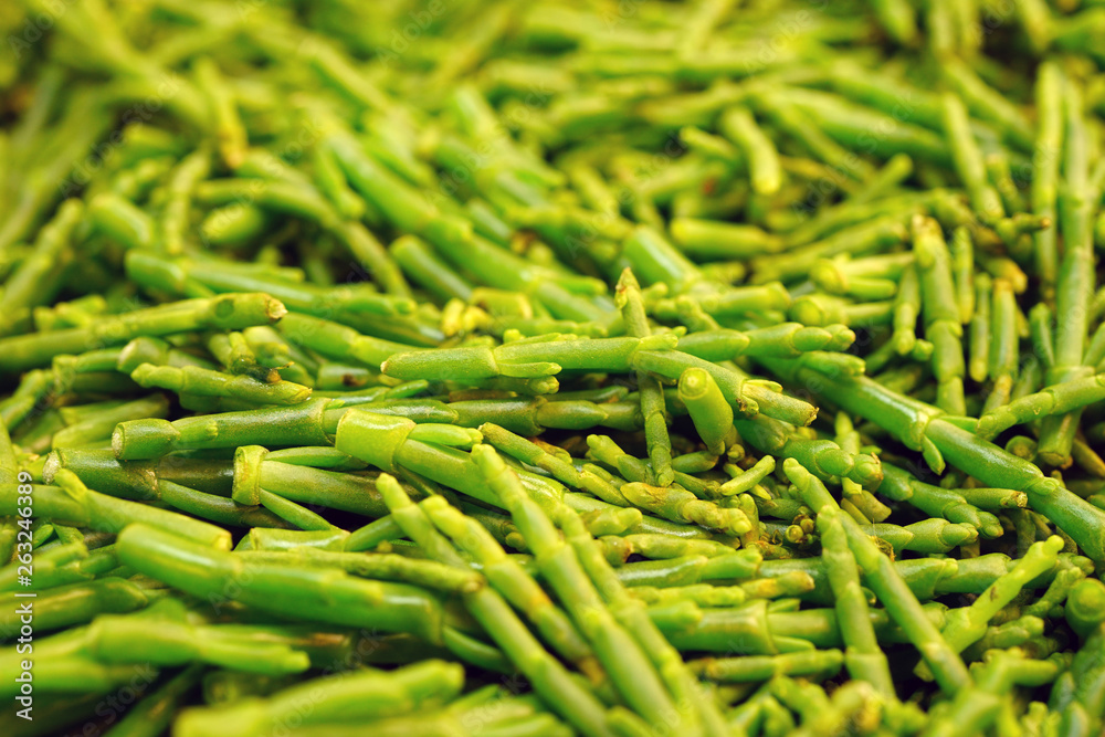 Green samphire sea bean salicornia for sale at a farmers market Green samphire sea bean salicornia for sale at a farmers market