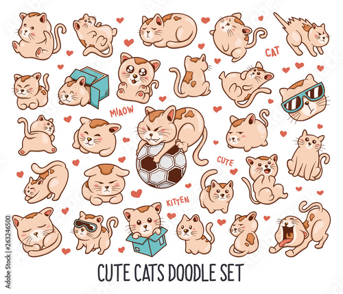 Hand drawn set of Cute Funny Cat doodles in Colors vector