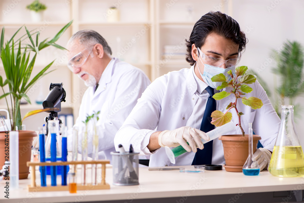 Two chemists working in the lab Two chemists working in the lab