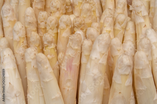 white asparagus closeup