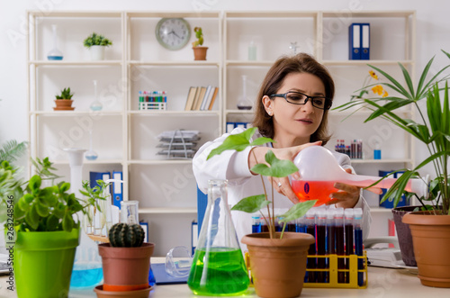 Old female biotechnology chemist working in the lab 