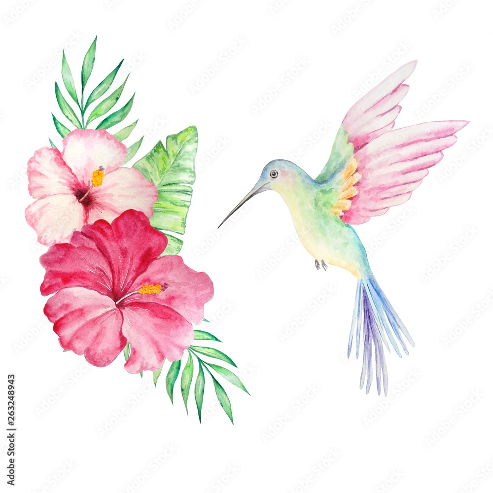 Obraz premium watercolor hummingbird and flowers