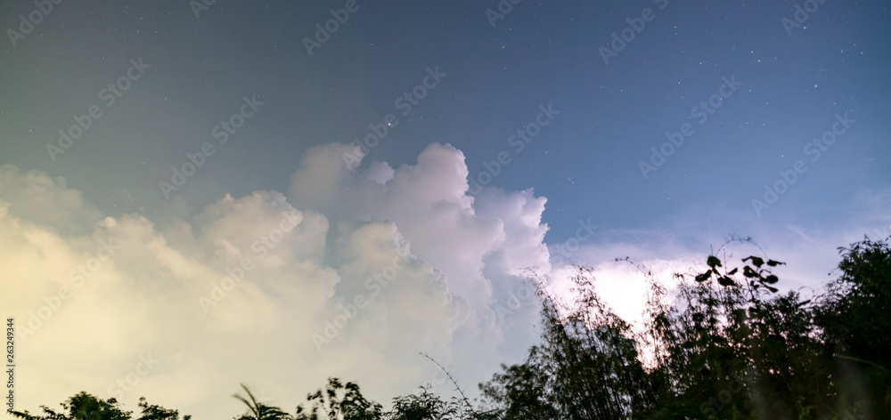 Fototapeta premium White clouds in night sky with trees in the foreground