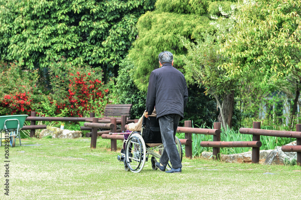 Pushing a patient into a wheelchair for a walk. Pushing a patient into a wheelchair for a walk.