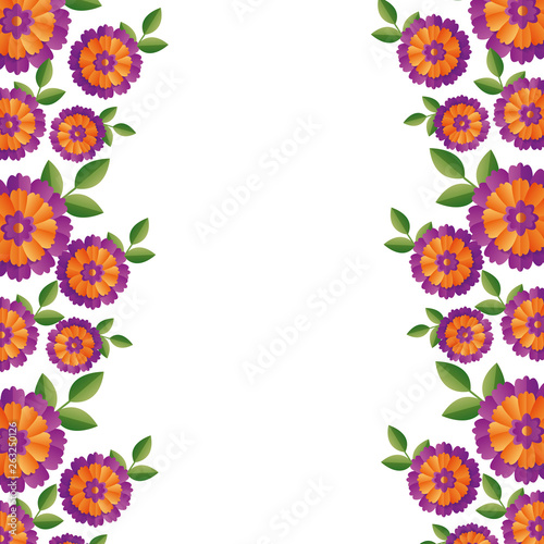 flowers leaves petals border
