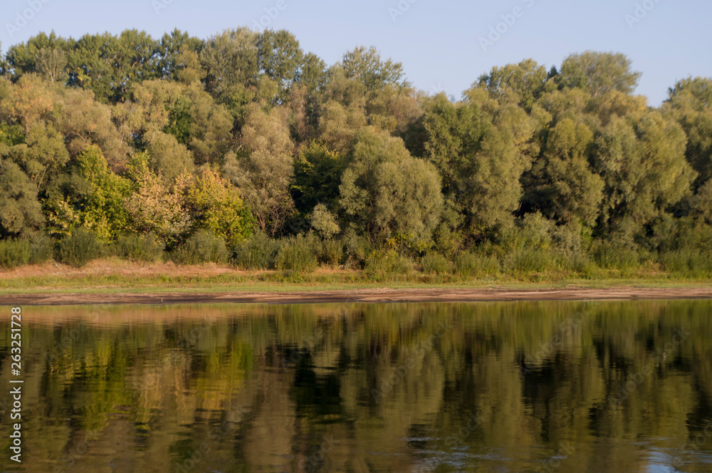 Wide river flowing across green forest. Fall. Reflections of sun in the water