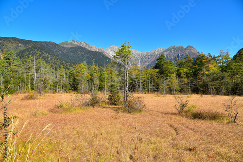 上高地　秋の田代湿原