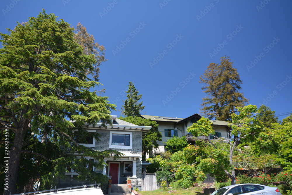 Spring Impressions from Berkeley near San Francisco and Oakland in Alameda County on May 3, 2017, California USA Spring Impressions from Berkeley near San Francisco and Oakland in Alameda County on May 3, 2017, California USA