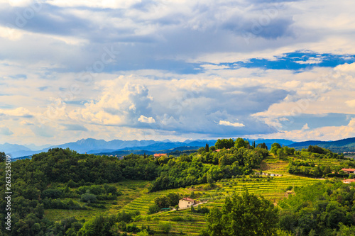 The beautiful vineyard of Collio, Friuli Venezia-Giulia, Italy © zakaz86