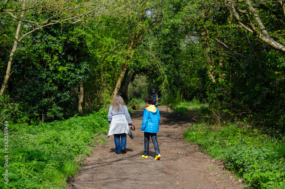 Fototapeta premium A family on a walk along country lanes at th evillage of Perton near Wolverhampton in South Staffordshire, UK