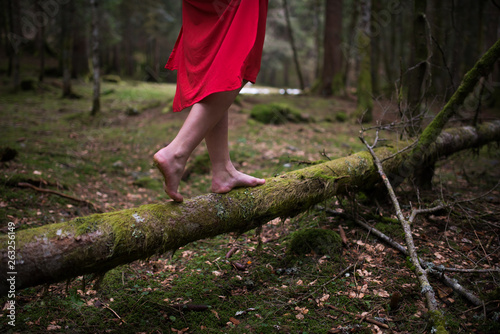 Woman walking bare feet on a fallen trunk into the forest, close up on the feet